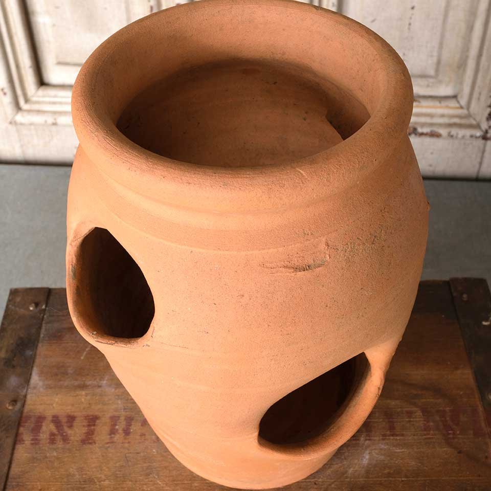 Terra Cotta Hens & Chicks Garden Planter Pot image 3