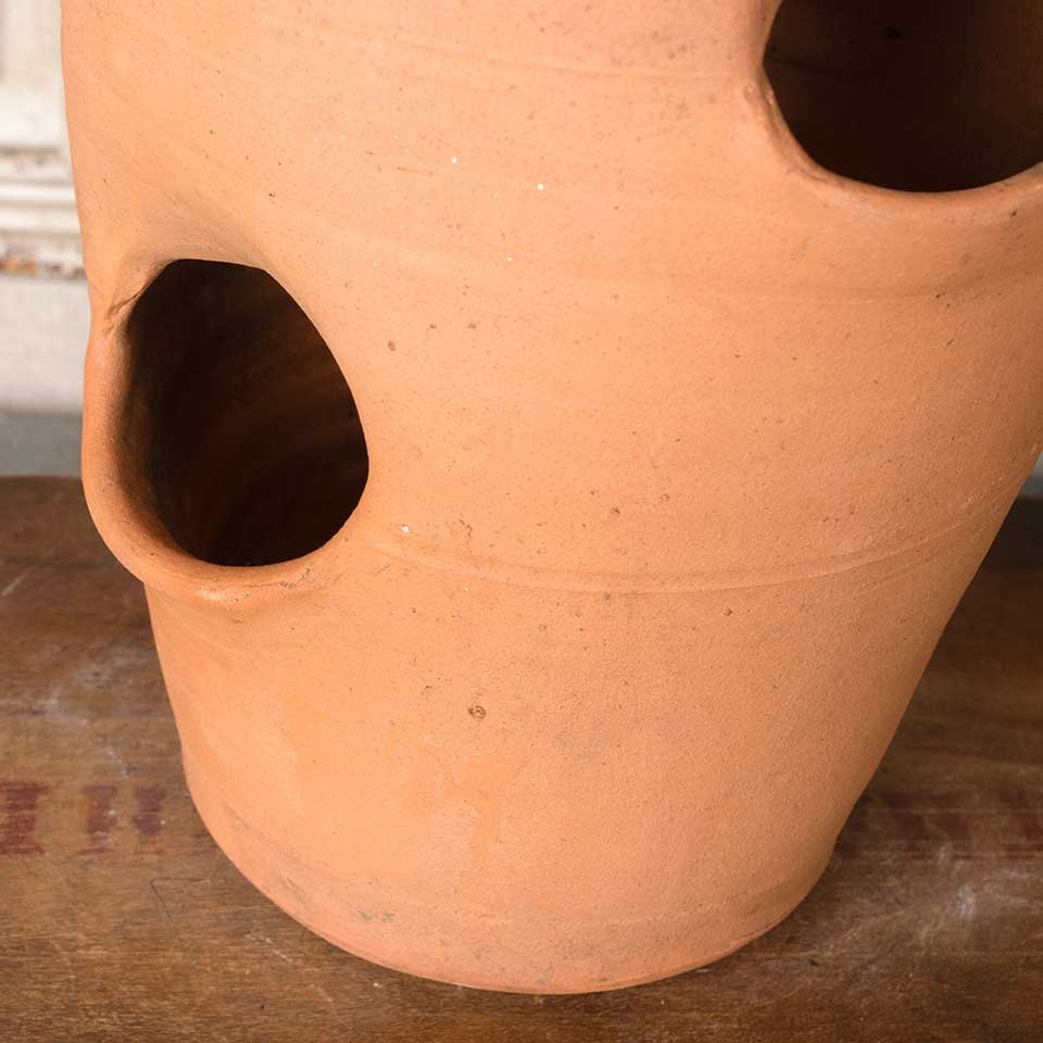 Terra Cotta Hens & Chicks Garden Planter Pot image 4