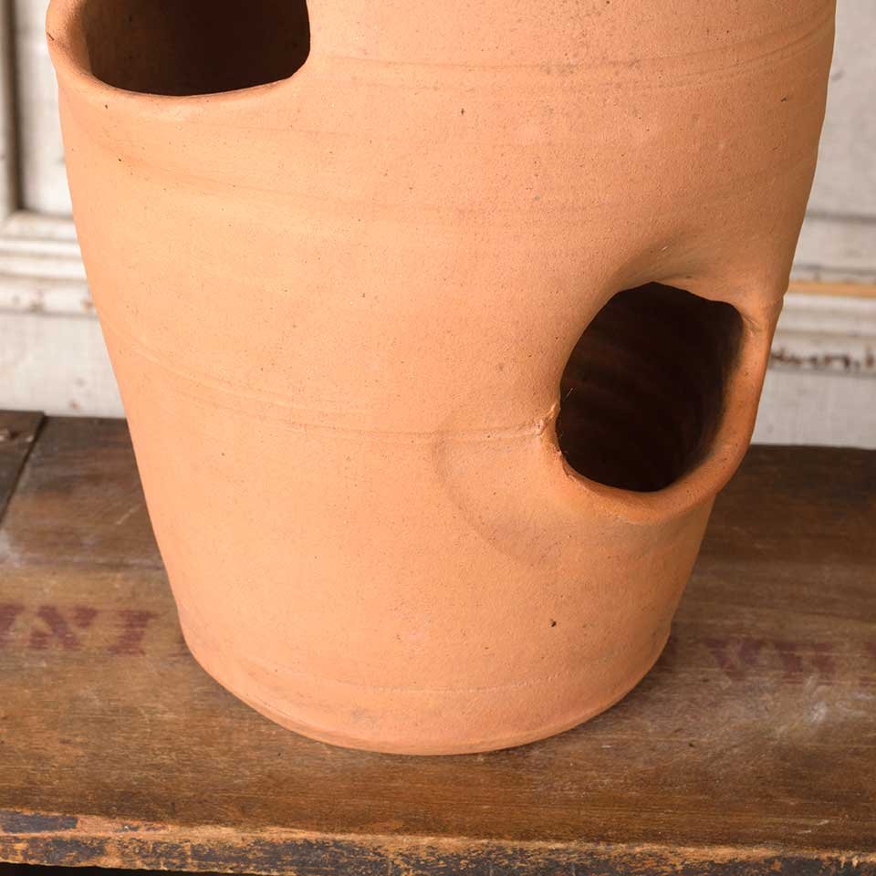 Terra Cotta Hens & Chicks Garden Planter Pot image 5