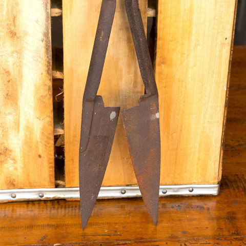 #20616 Antique Sheep Shears image 3