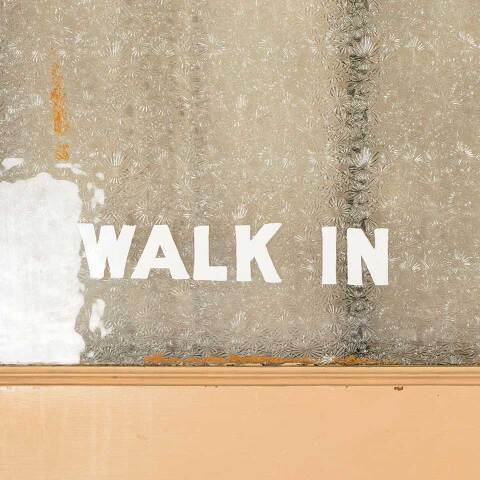 #50928 34x82 Antique Privacy Glass Half-Lite Door image 5