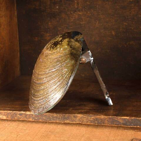 #53319 Brass Clam Shell Door Knocker Hardware image 8