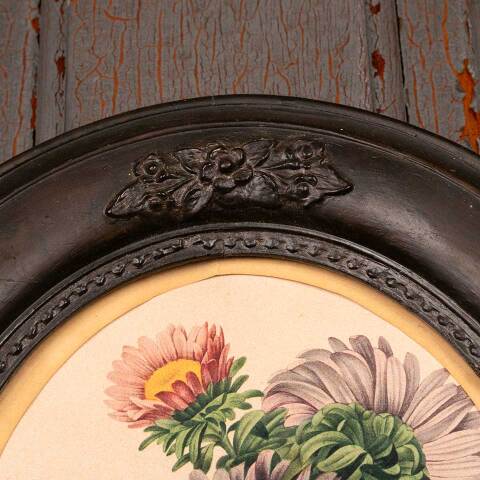 #53394 Antique Botanical Print in Oval Frame image 2