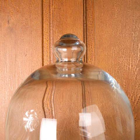 #54399 10x12 Glass Cloche Dome w/ Top Handhold image 4