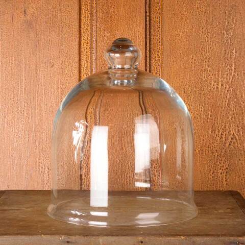 #54399 10x12 Glass Cloche Dome w/ Top Handhold image 5