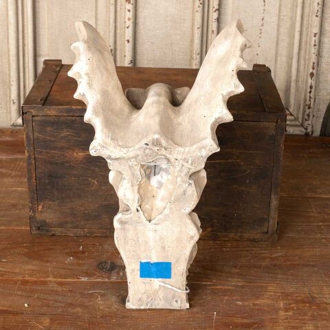 #55322 Cast Plaster Winged Dog Wall Hanging image 6