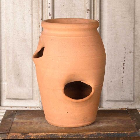 Terra Cotta Hens & Chicks Garden Planter Pot