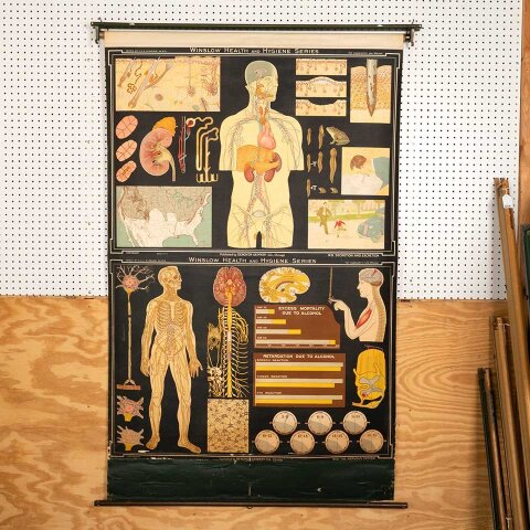 Vintage Pull-Down Health & Hygiene Diagram